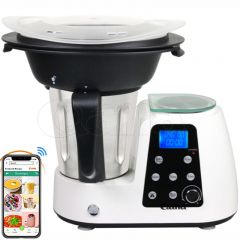 Fábrica QANA, procesador mayorista de frutas y trituradora de hielo, máquina eléctrica de trabajo para cocinar, pequeña trituradora